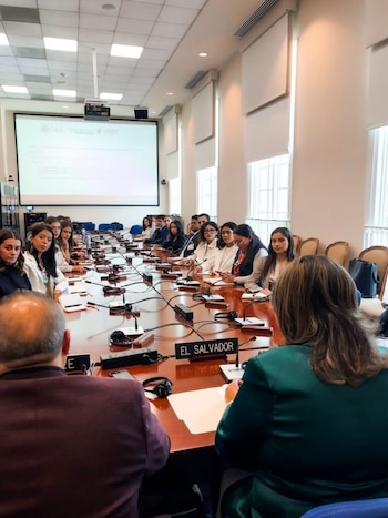 La agenda de los participantes incluyó mentorías, talleres y reuniones con instituciones como el Banco Mundial y el BID. (Cortesía: Ministerio de Relaciones Exteriores)