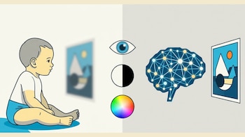 Un modelo de IA inspirado en el desarrollo infantil podría acercar la visión artificial a la humana