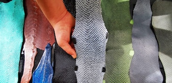 Pieles de pescado convertidas en