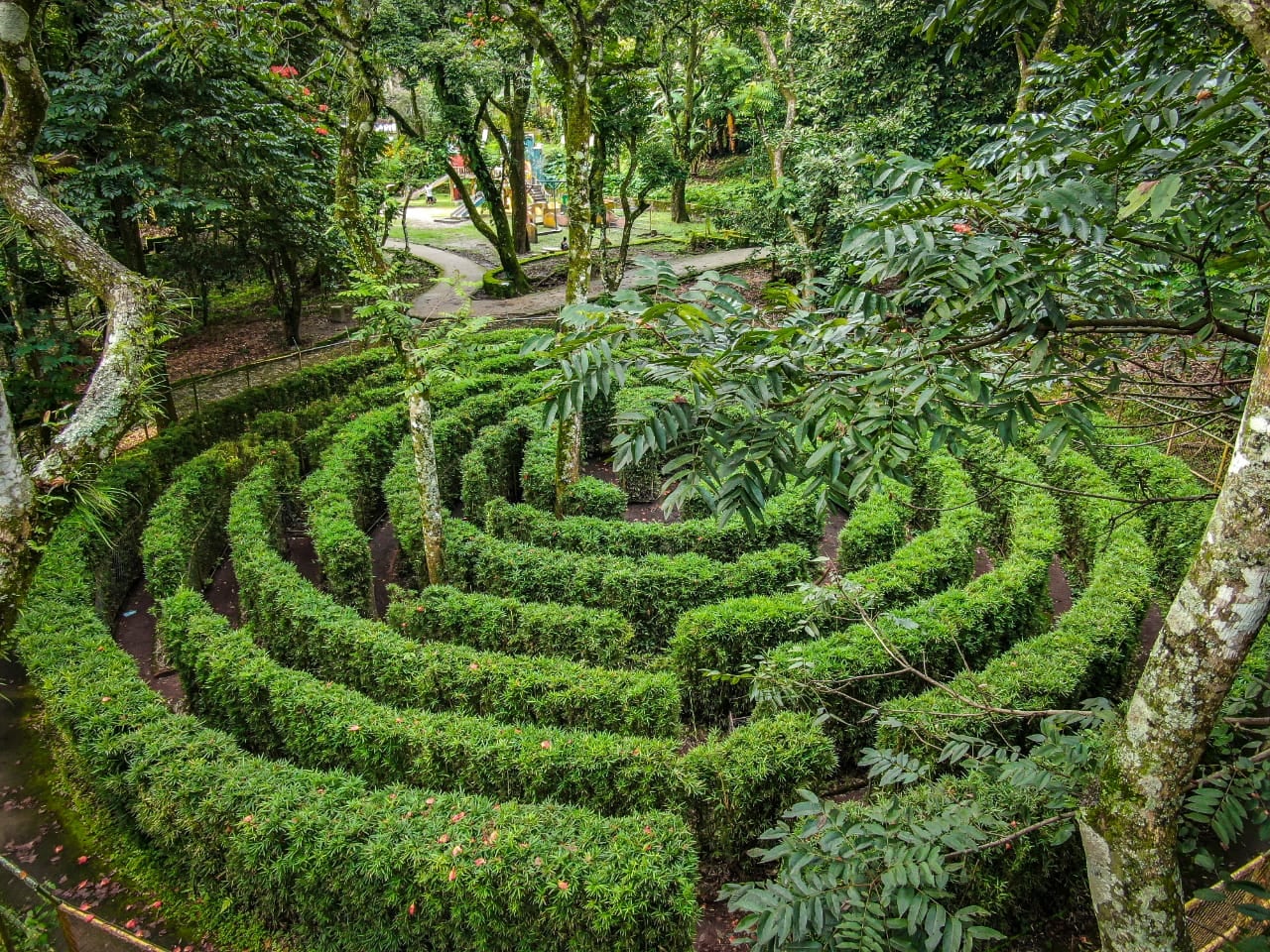 El Parque Natural Balboa, ubicado en San Salvador, ofrece áreas verdes, miradores y senderos ideales para el esparcimiento familiar. Se destaca por su vegetación, esculturas y vistas panorámicas del Valle de las Hamacas. Es un espacio frecuentado por quienes buscan actividades al aire libre y tranquilidad, contribuyendo a la conservación ambiental y al turismo local./(ISTU)