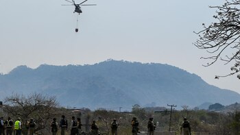 Datos de la Conafor informan