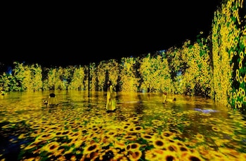 Una sala oscura con proyecciones de miles de girasoles amarillos cubriendo paredes y suelo. Tres personas interactúan: una de pie al centro, dos sentadas a los lados