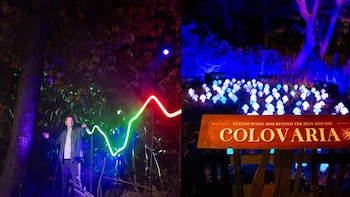 Abre el Bosque Prohibido de Harry Potter en Edomex: hay un hipogrifo, duelo de varitas y hasta el sombrero seleccionador