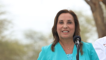Dina Boluarte promulga ley que