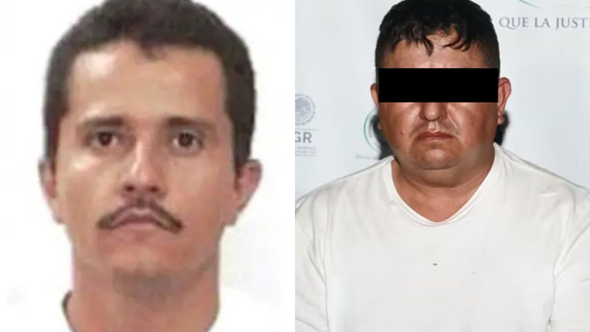 El Mencho fue abatido el 22 de febrero de 2026 y el Jardinero fue capturado el 27 de abril del mismo año. Crédito: Especial