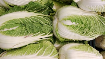 La col china, también conocida