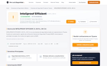 Empresas sancionadas por la OFAC por sus presuntos nexos con La Mayiza. (Capturas de pantalla)