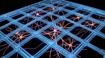 Imagen microscópica de una red cuadriculada azul translúcida con conexiones que cruzan, y neuronas dispersas de color naranja-rosa dentro de los huecos, sobre fondo negro.