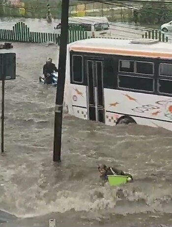 (Foto: Twitter/ @azucenau)