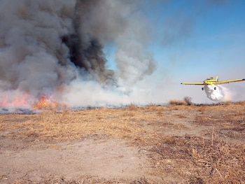 Uno de los cuatro aviones