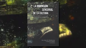 La dimensión sensorial de la cultura