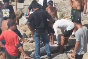 El Delfín fue faenado en