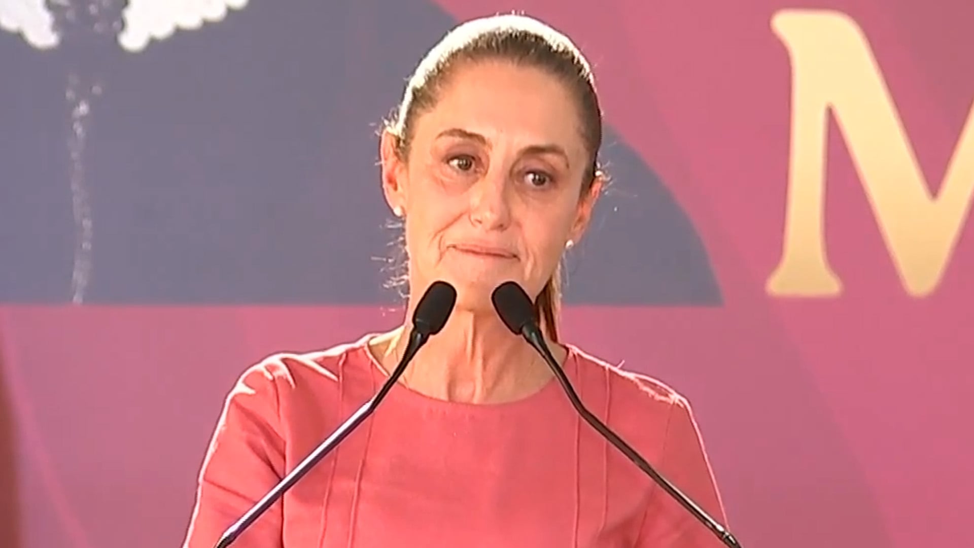 Claudia Sheinbaum destacó el trabajo de las personas migrantes en Estados Unidos. (Captura de pantalla)