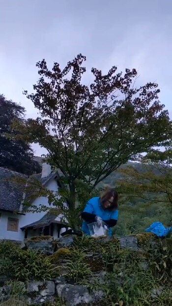 cría murciélago - viaja - Escocia", por favor