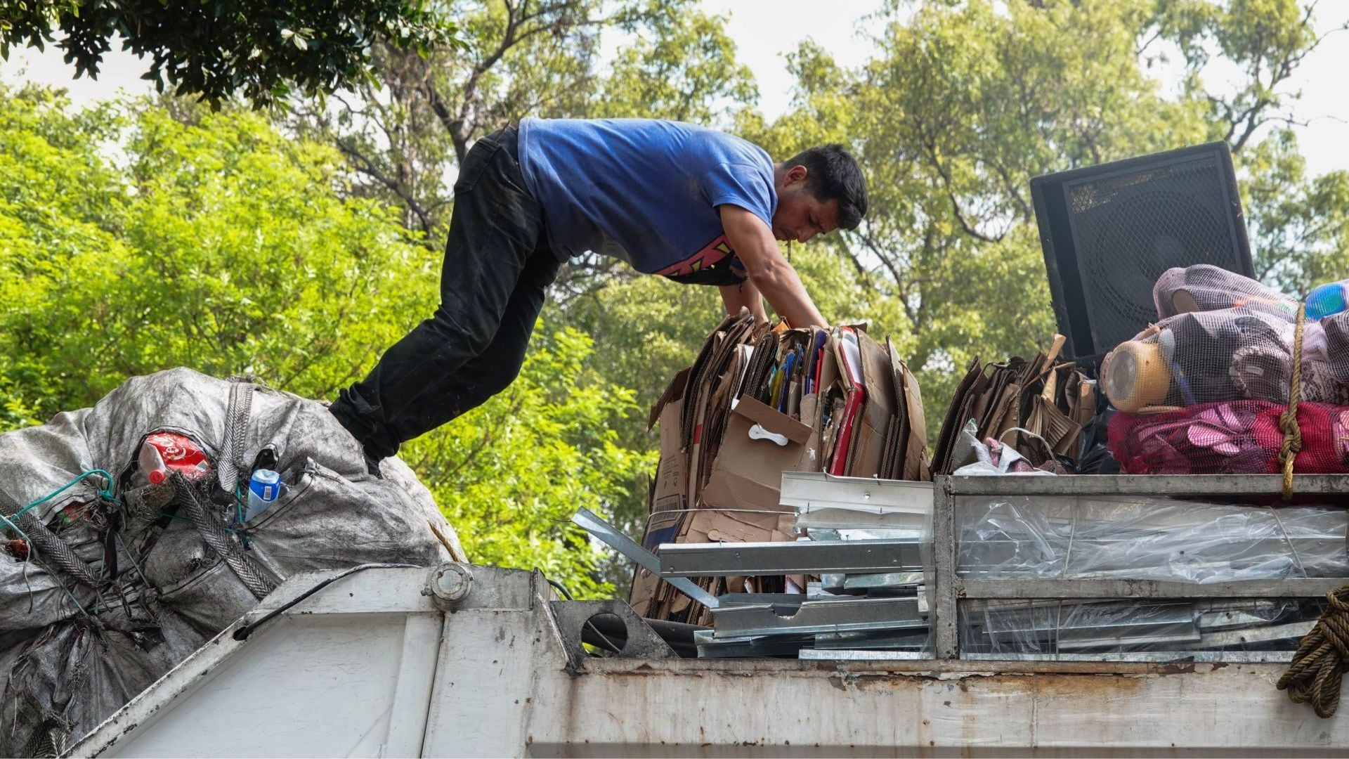 Nuevo sistema de reciclaje en la Ciudad de México: Cómo separar y entregar correctamente los residuos