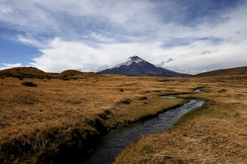 El Cotopaxi se eleva unos 5.897 metros sobre la Avenida de los Volcanes en Ecuador, su parque nacional se ubica a unos 80 kilómetros de Quito (REUTERS/Karen Toro)