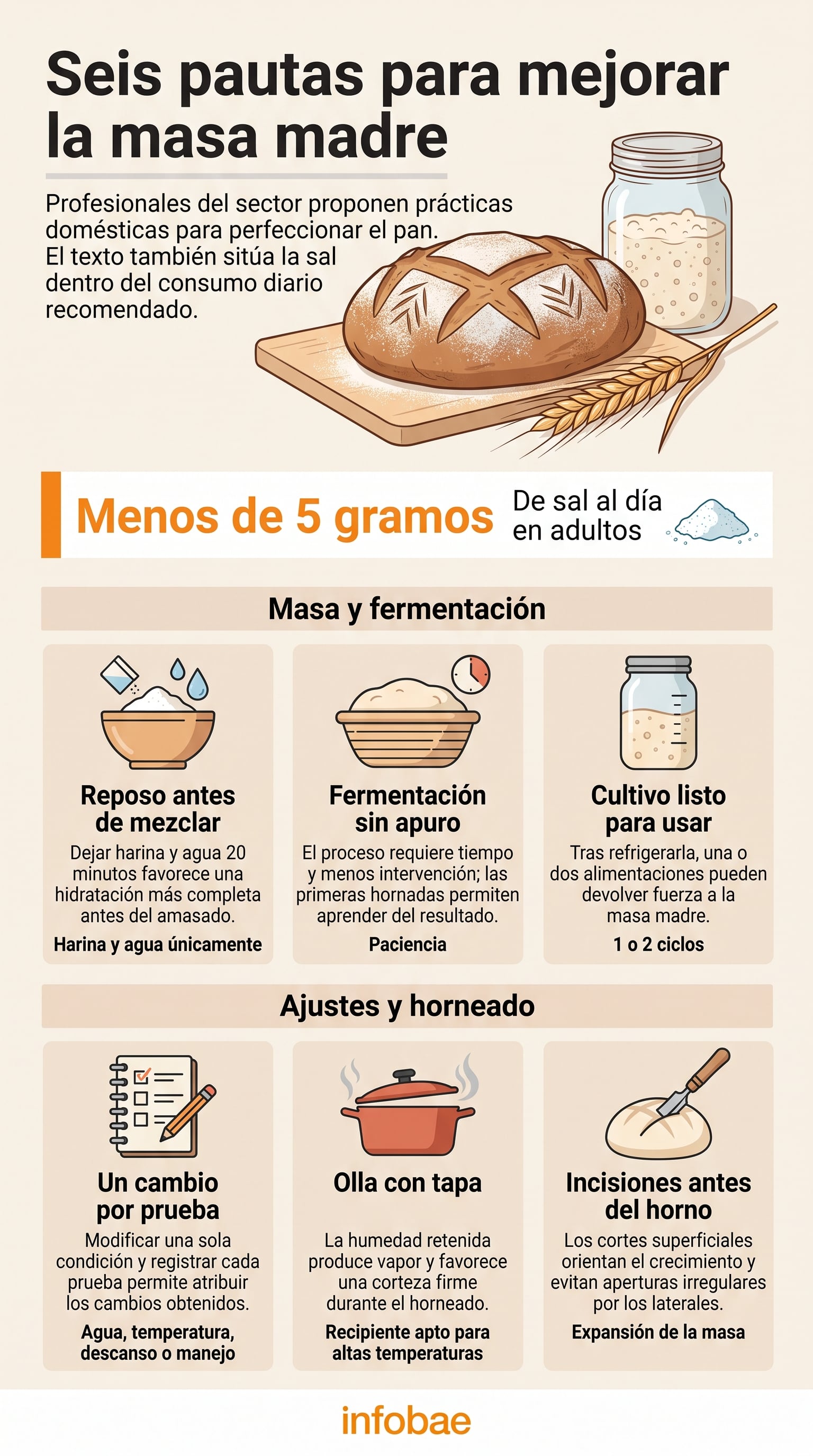 La masa madre necesita tiempo suficiente para desarrollar fuerza durante la fermentación. (Imagen Ilustrativa Infobae)