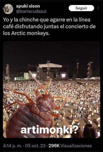 Memes de Arctic Monkeys
(captura