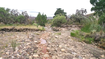Se prevé una disminución de las precipitaciones en las regiones Caribe, Andina y Pacífica - crédito Ministerio de Ambiente