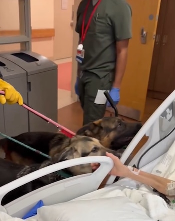 Second Chance Rescue asumió la