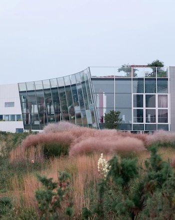 TAG Art Museum (@tag_artmuseum)