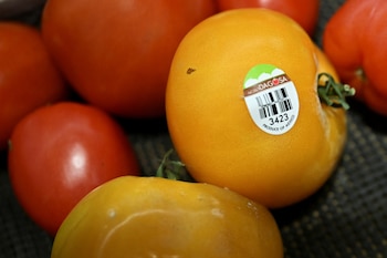 Texas importa el 40% de sus bienes desde México, representando 146.000 millones de dólares anuales en comercio. (REUTERS/Annabelle Gordon)