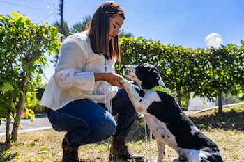 Las familias deben presentar DUI