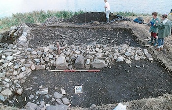 Los hallazgos muestran que los