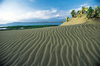 Las Dunas de Baní son un monumento natural clave para la biodiversidad, la protección frente a la erosión marina y el control ambiental, según expertos./(Liga Municipal Dominicana)