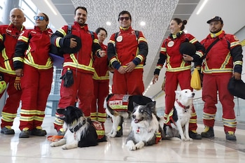 A dupla de cães Balam, Orly, Kenai e Halley é fundamental para rastrear potenciais sobreviventes nas áreas atingidas pelo duplo terremoto. (Cruz vermelha)