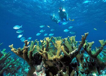 Parque nacional Biscayne