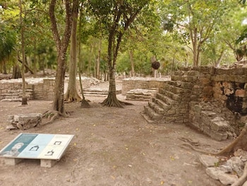 Muros de piedra, escalones de piedra, varios árboles con raíces expuestas, suelo de tierra y un panel informativo en primer plano