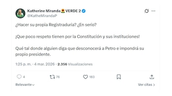La representante a la Cámara