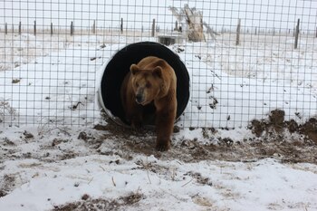 Un documental muestra el camino