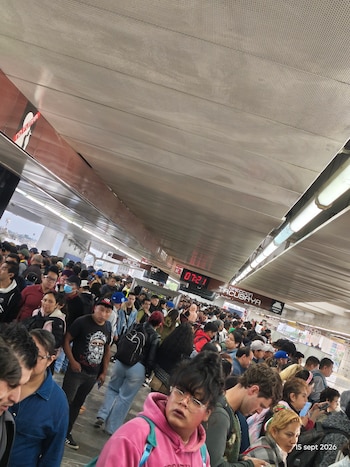 Avance en tiempo real de las diversas líneas de la red de transporte público capitalino.