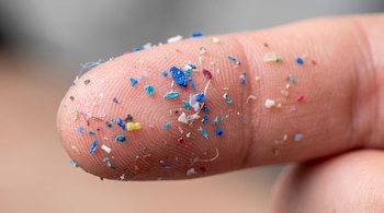 Un primer plano de la yema de un dedo humano sobre la cual hay diminutas partículas y fibras de plástico de diversos colores.
