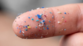 Cómo entran los microplásticos al cuerpo humano: 5 hábitos comunes que lo facilitan