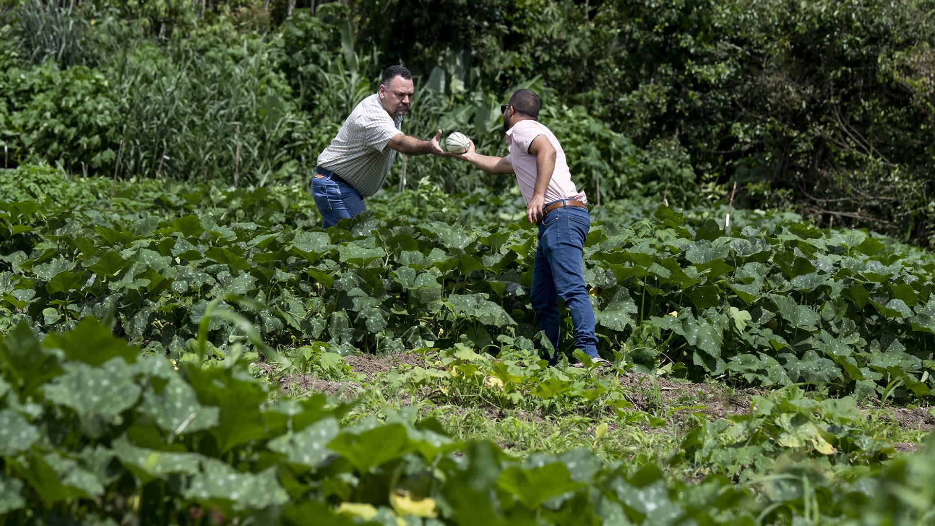 También se abordaron los desafíos que enfrenta el sector agrícola y la seguridad alimentaria del país. (Photo by Ezequiel BECERRA / AFP)