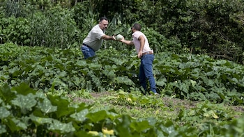 Tesoro de semillas en Costa Rica