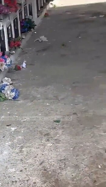 La familia en un comunicado