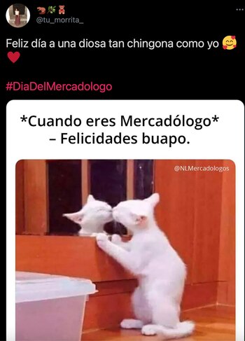 (Foto: captura de pantalla de