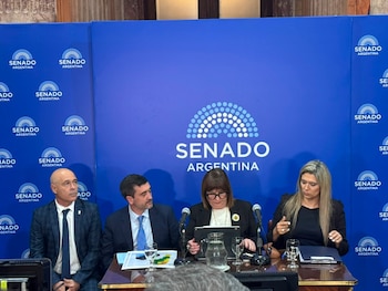 Conferencia de Patricia Bullrich en el Senado por la Ley de Tierras