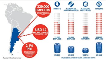 Radiografía del sector