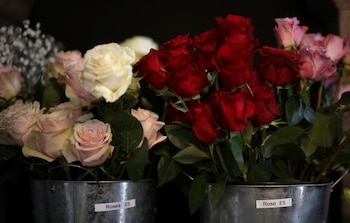 2024. REUTERS/Phil Noble