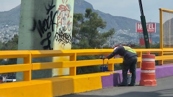 “Ajolotización” bajo ataque: Morena acusa que denuncia de Movimiento Ciudadano nació de una imagen falsa
