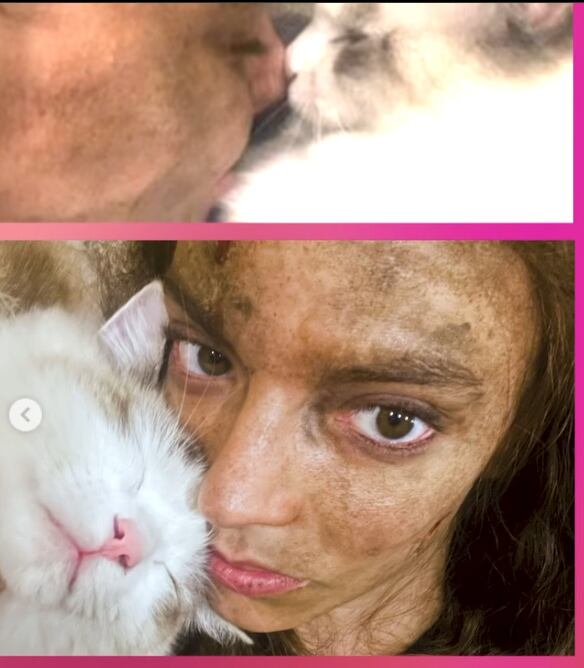 Anya Taylor-Joy y su gato Kitsune durante un día de grabación de la película