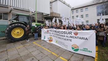 Más de 2.600 personas se