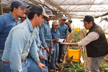 Las actividades prácticas, que incluyen