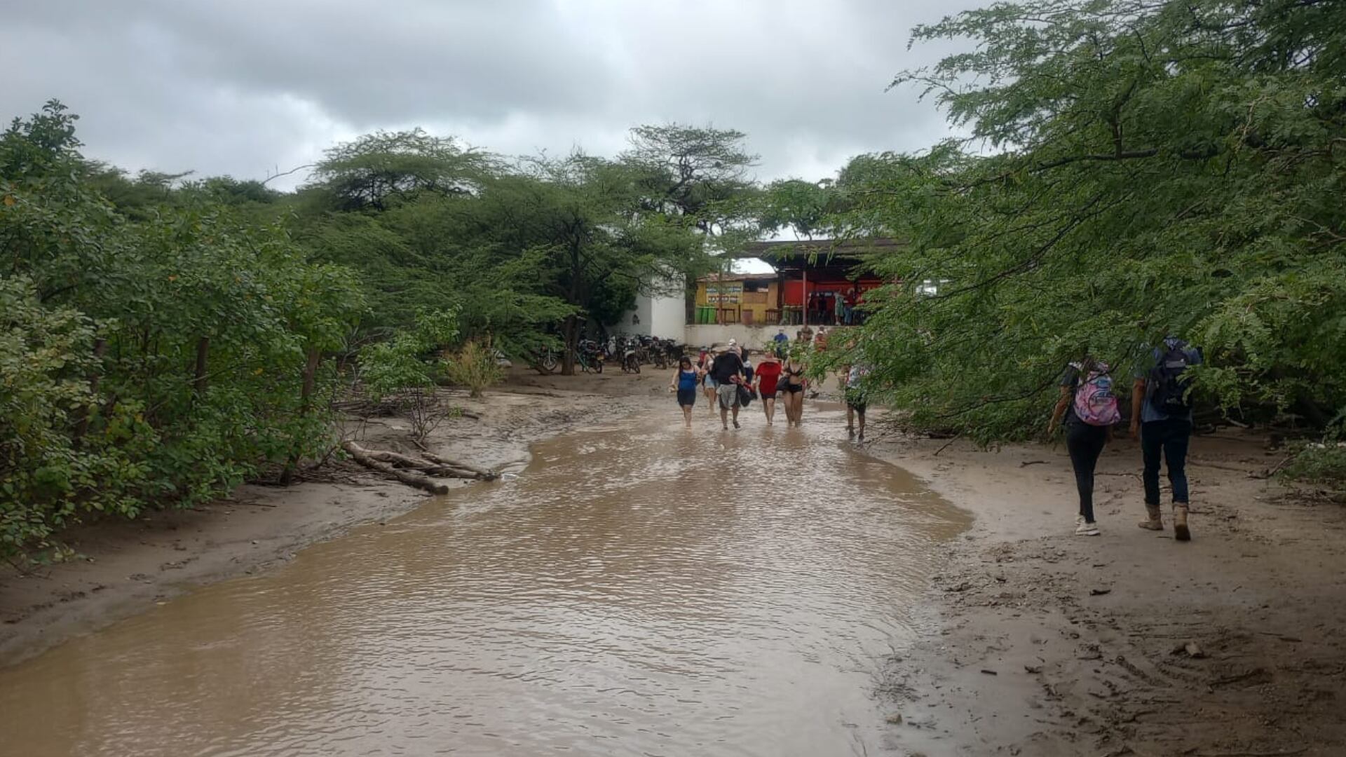 Parques marinos como Corales del Rosario y San Bernardo suspenden actividades de buceo, snorkel y recorridos turísticos por condiciones adversas - crédito Parques Nacionales Naturales de Colombia