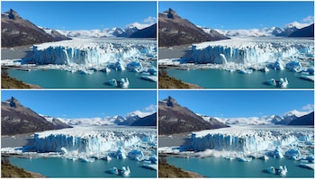 Científicos de Japón y Argentina